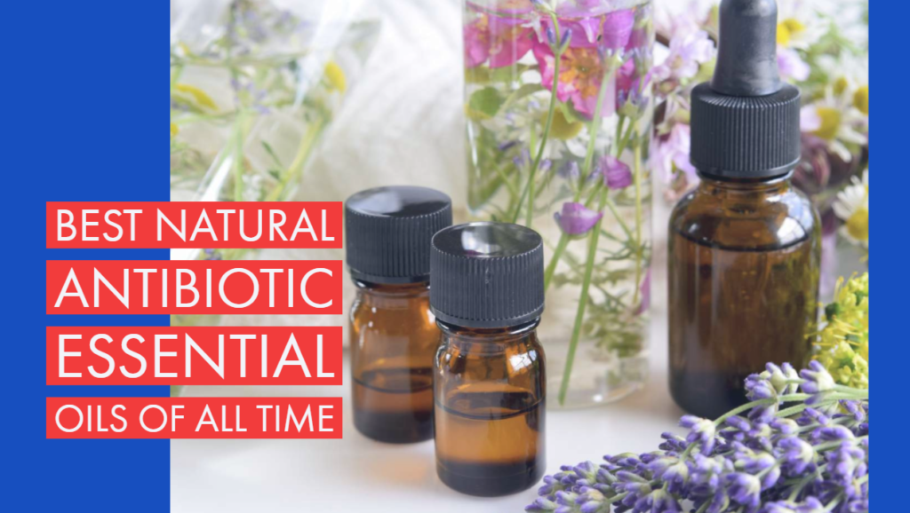 Best Natural Antibiotic Essential Oils of All Time Zubica